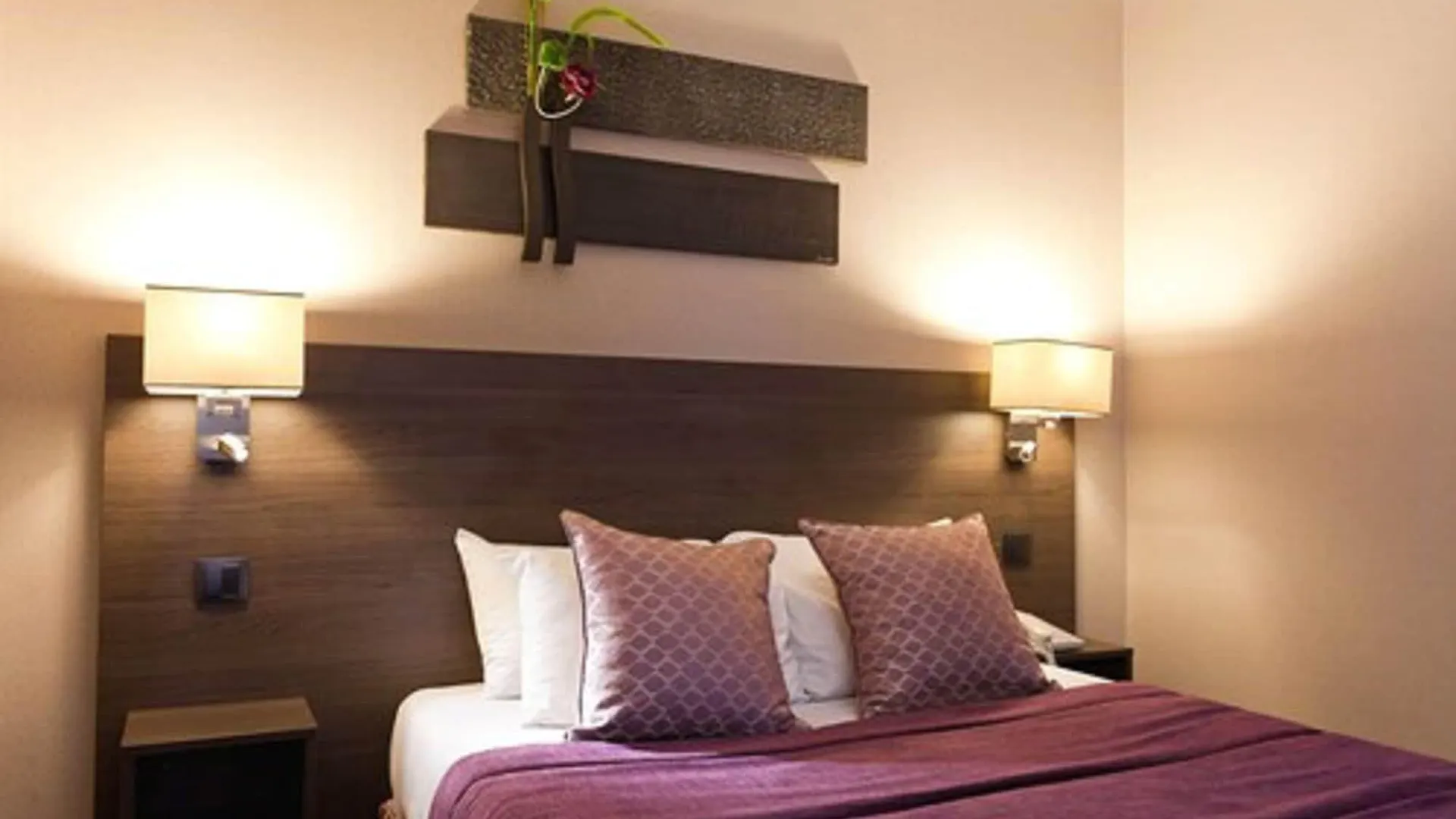 Hôtel France Albion Paris Hotel