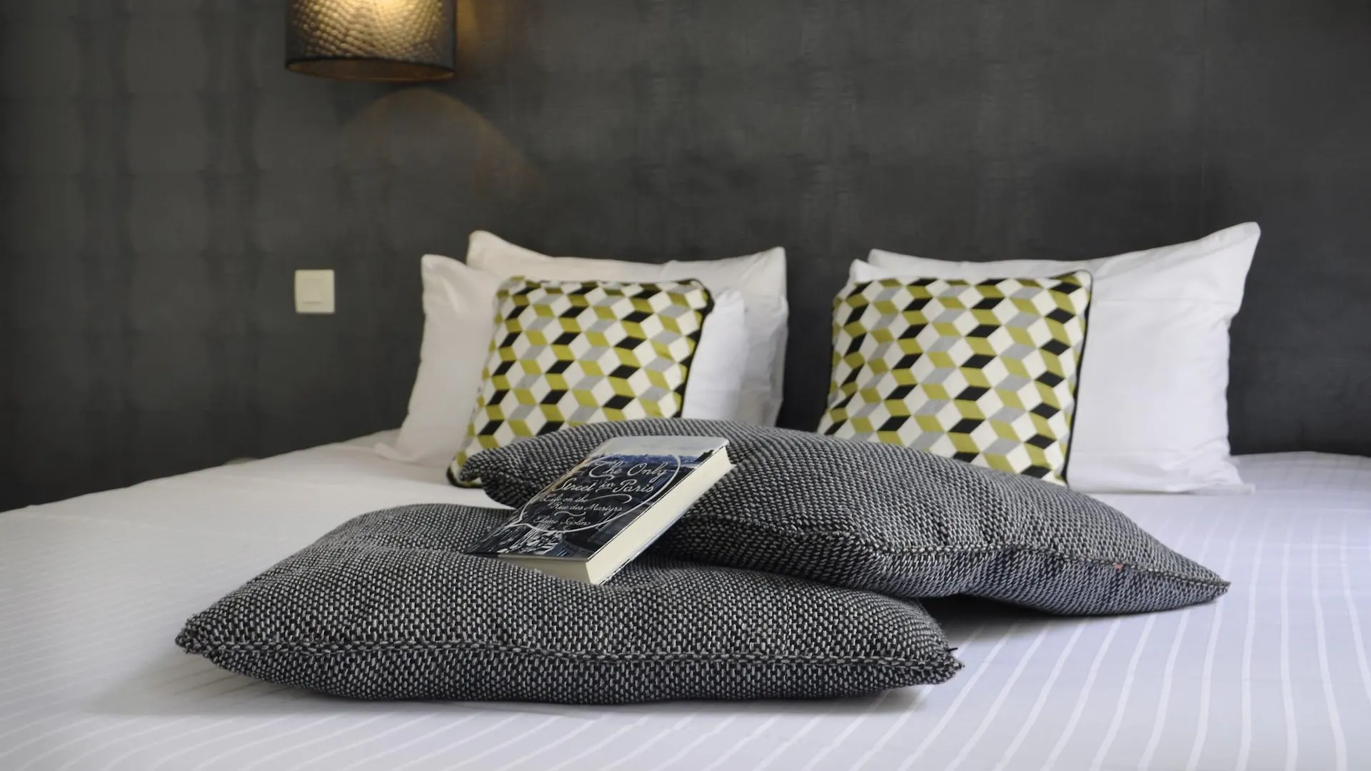 Hotel France Albion Paris France